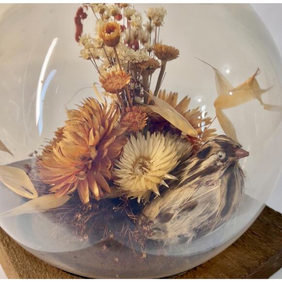 Vintage 60s Dried Flower Glass Terrarium Bird Floral Strawflower Daisy Bouquet - Picture 2 of 10